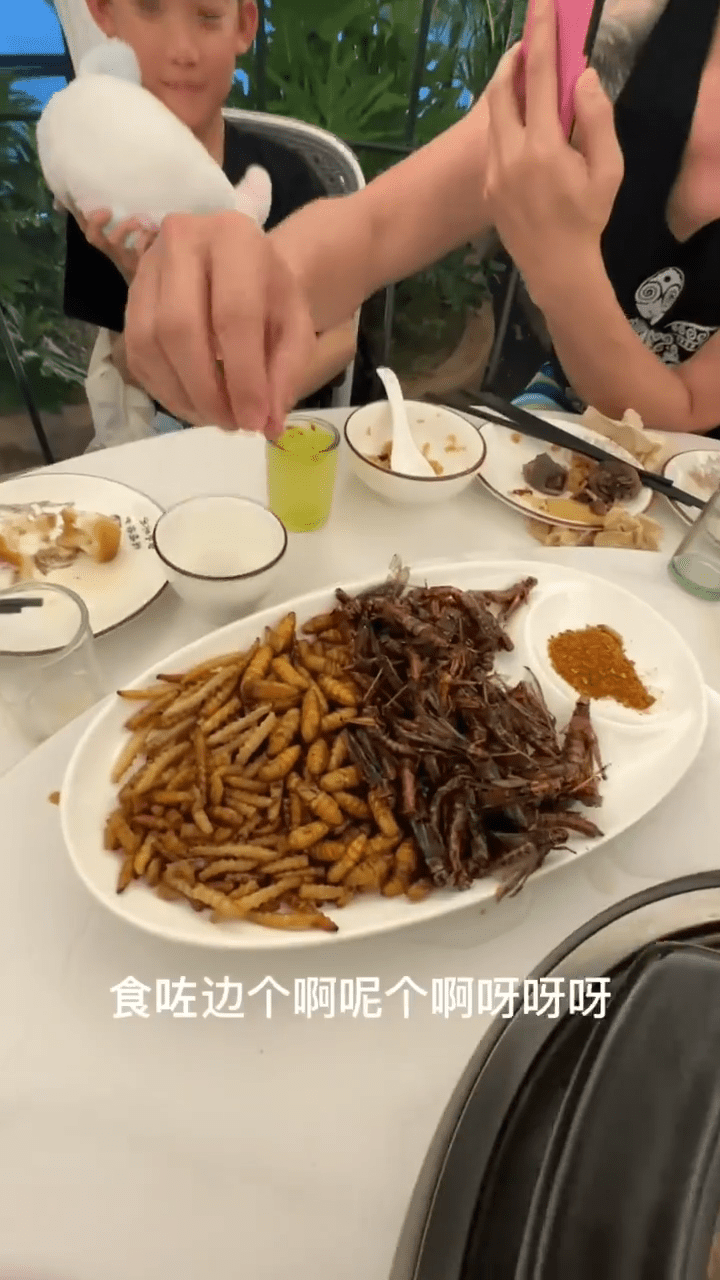 近日洪天明一家畅游云南西双版纳，仲试食当地最出名是昆虫菜色。