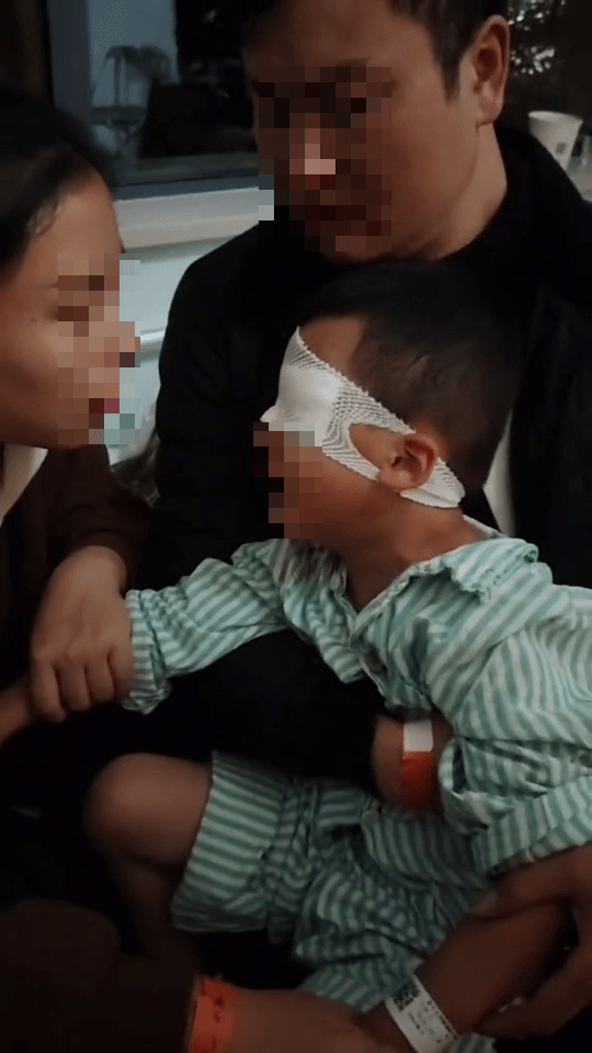 5歲幼童被同學戳傷左眼,狀甚痛苦。 5歲幼童被同學戳傷左眼,狀甚痛苦。