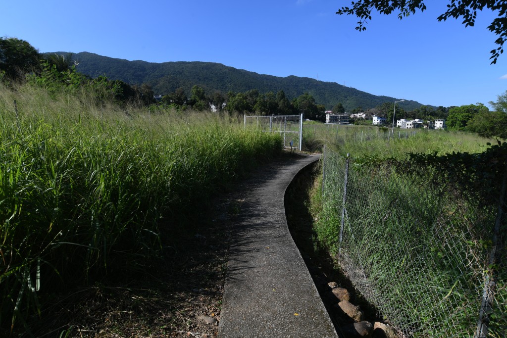 計畫獲批項目涉及林錦公路附近林村的土地。資料圖片