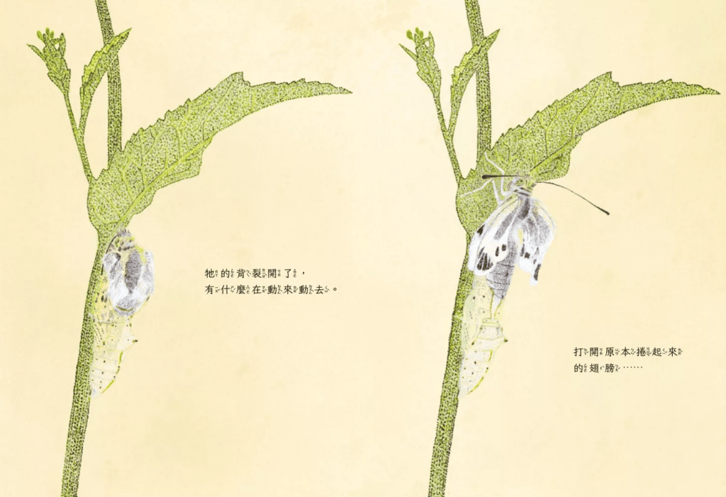 （圖片來源：受訪者提供）