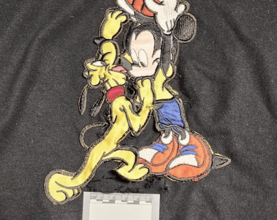 衣服里的镜头。新南威尔士州警方