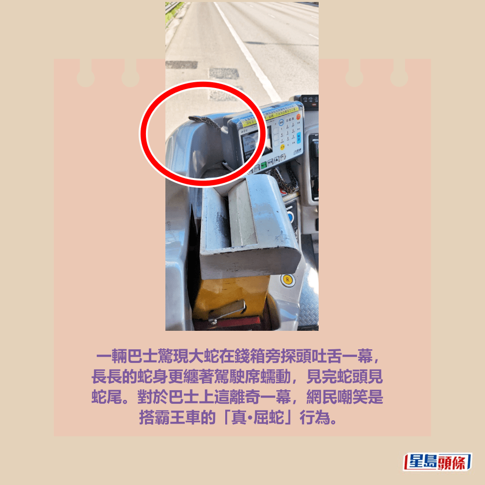 一輛巴士驚現大蛇在錢箱旁探頭吐舌一幕， 長長的蛇身更纏著駕駛席蠕動，見完蛇頭見 蛇尾。對於巴士上這離奇一幕，網民嘲笑是 搭霸王車的「真•屈蛇行為。Threads截圖  ​