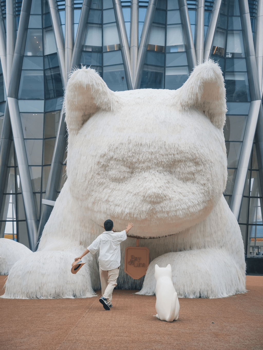 近日深圳有两个巨型猫咪展览同期进行（图片来源：小红书）