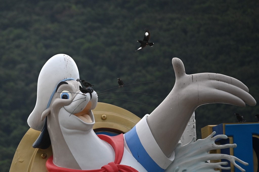 政府下年1月將交代海洋公園整體發展計劃。資料圖片