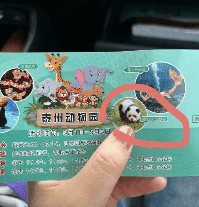 泰州動物園五一假期活動中，有一項名為「熊貓犬見名會」的活動。