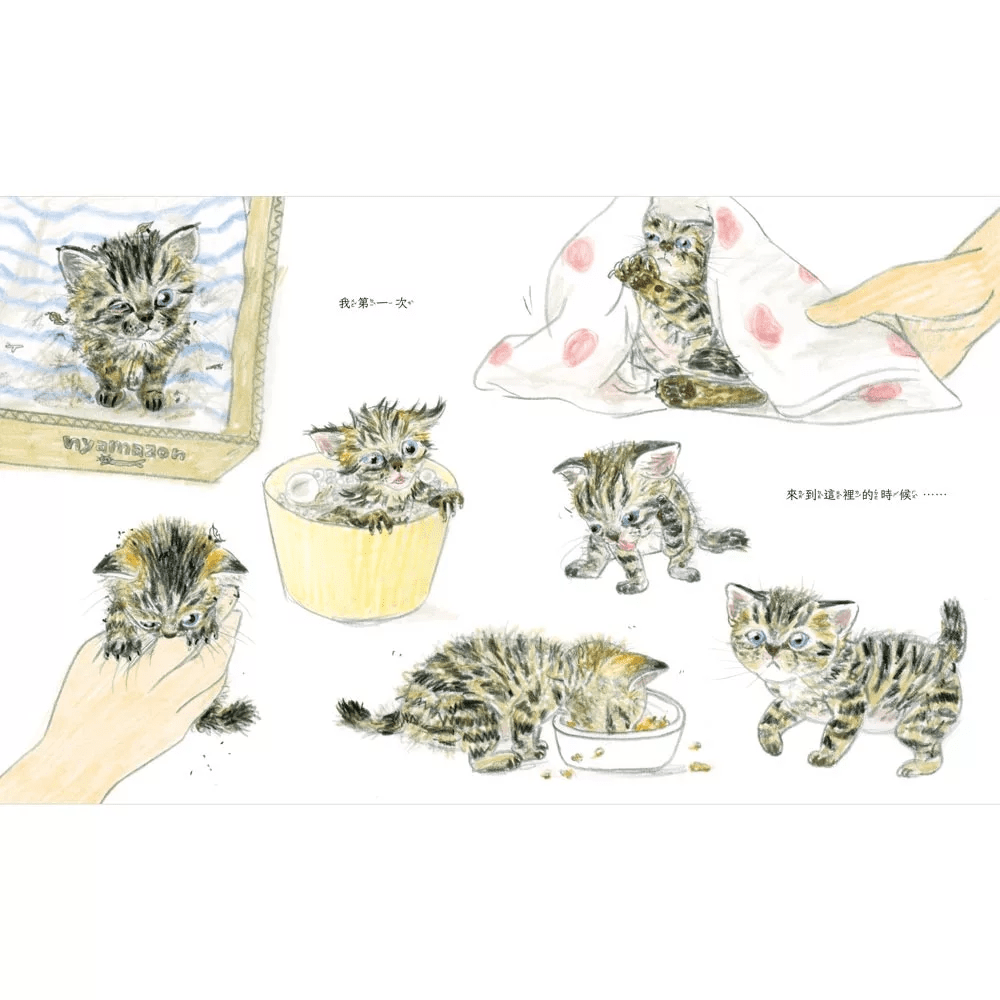 （圖片來源：受訪者提供）