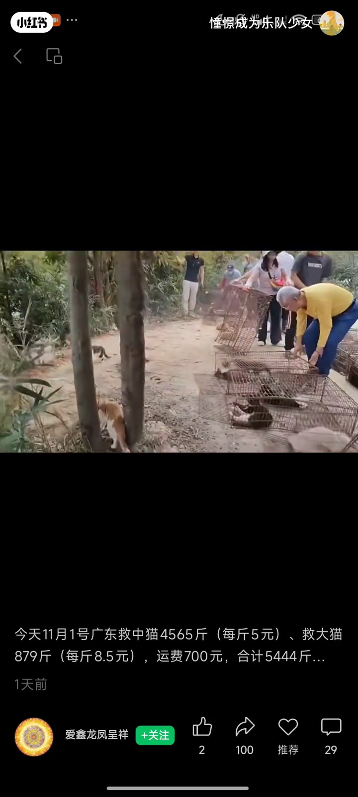 網上流出疑似當日放生貓的影片。小紅書＠愛鑫龍鳳呈祥