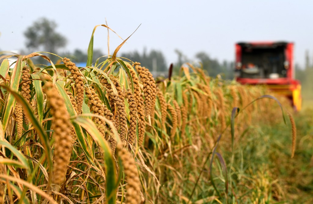 習近平預計全年經濟總量將達到140萬億元人民幣左右。中新社 習近平預計全年經濟總量將達到140萬億元人民幣左右。中新社