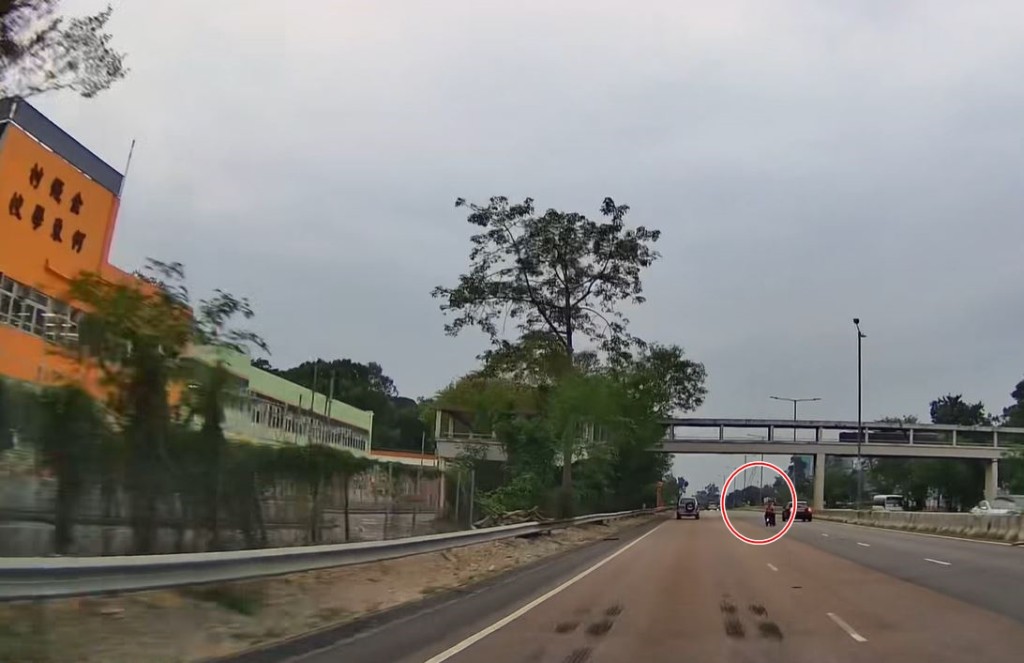 男子駕駛電動單車在粉嶺公路逆線行駛，由快線駛往中線。fb車cam L（香港群組）影片截圖