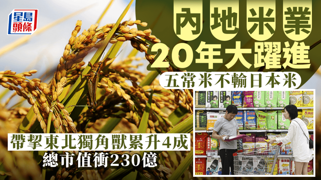 內地米業20年大躍進 五常米不輸日本米 帶挈東北獨角獸累升4成 總市值衝230億