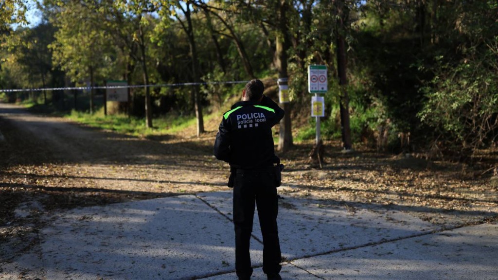 西班牙出動軍隊應對豬瘟 污染三文治恐是疫情源頭。路透社