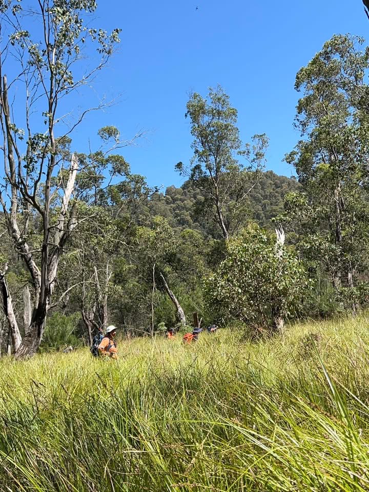 新州緊急服務冰雪河小隊協助搜索。 NSW SWS Snowy River Unit