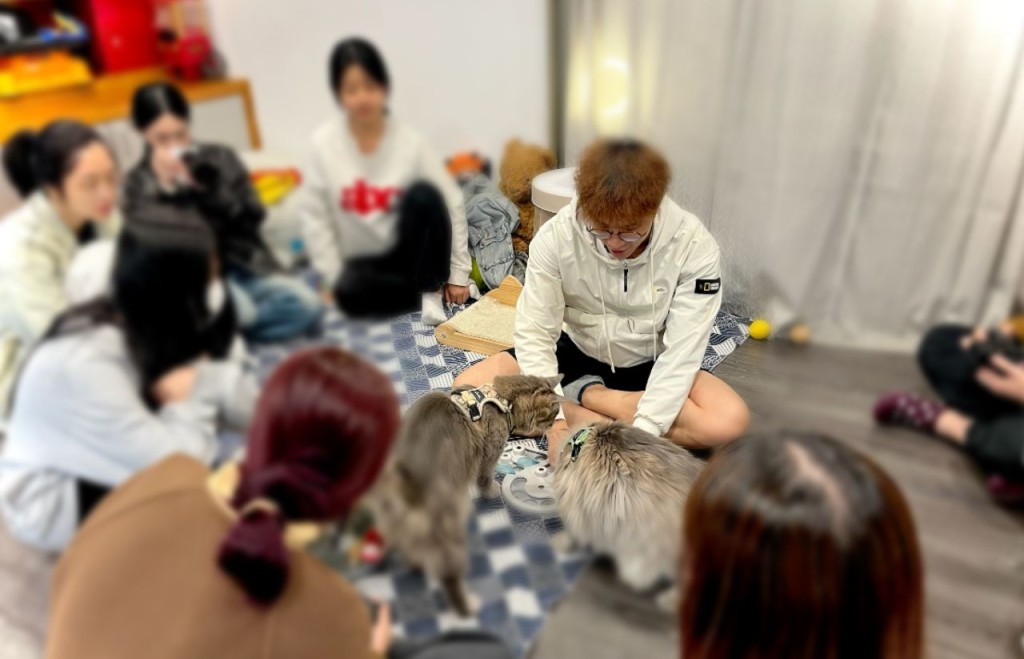 Tommy (中)教授青少年如何與貓互動，以及用貓玩具訓練貓咪。(方塊貓提供)