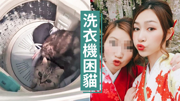 港姐黃嘉雯胞姐涉將貓困在洗衣機。資料圖片