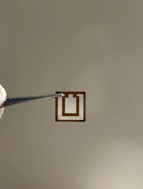 圖為本課題所製備的面積為1平方厘米的反式鈣鈦礦太陽能電池。嶺大提供