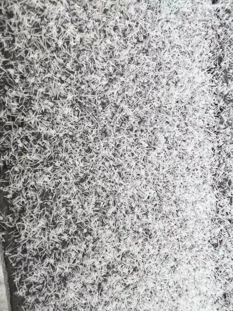 “济南下暴雨梨花针了”成网上热话。