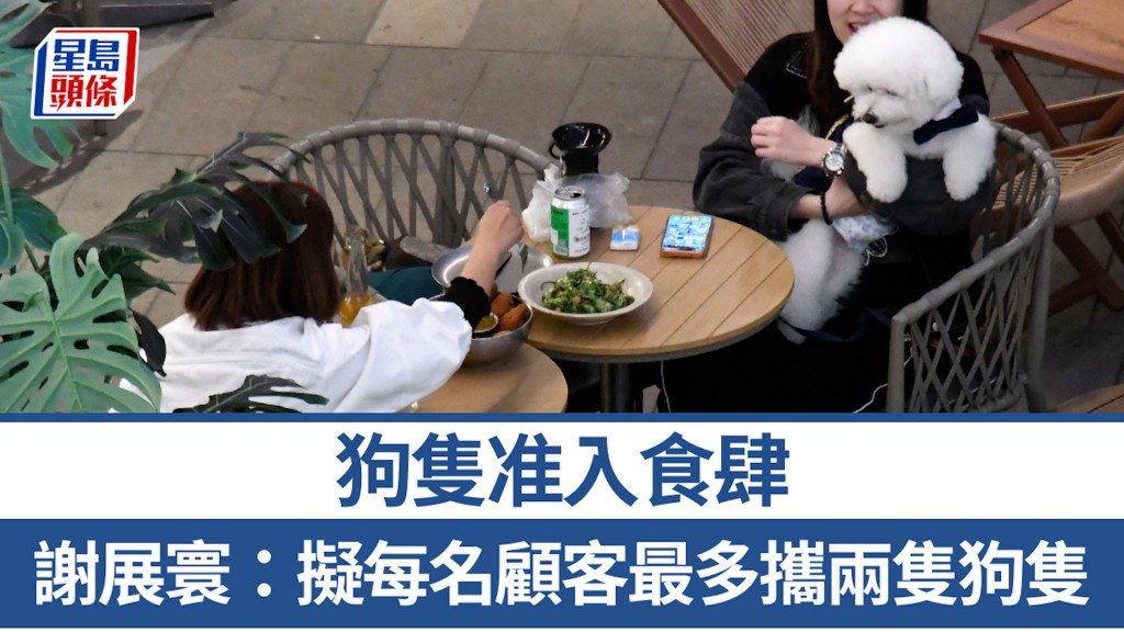 狗隻准入食肆︱謝展寰：擬每名顧客最多攜兩隻狗隻入食肆 半年後就牌照條款作檢討