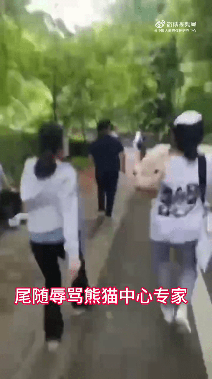 大熊貓專家被跟拍辱罵。