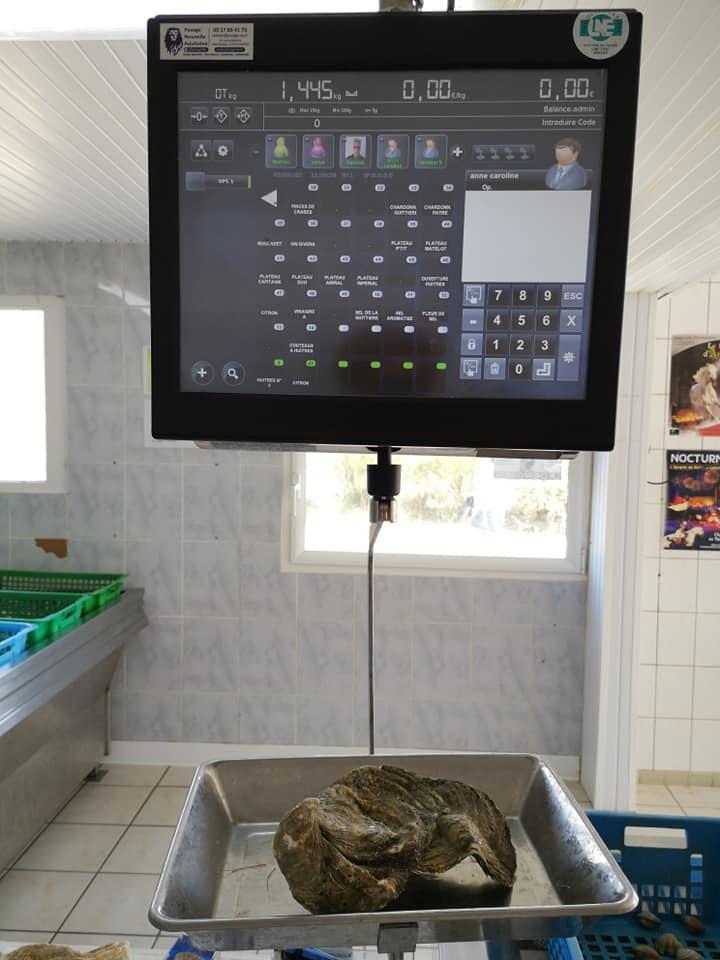 「Viviers de la Guittiere」FB圖片