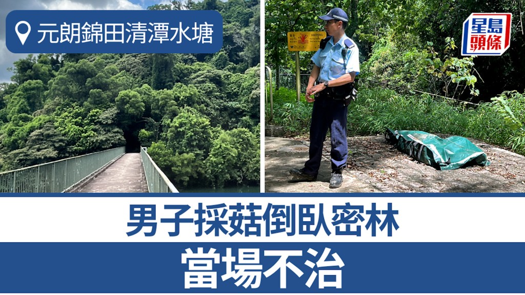 元朗錦田清潭上灌溉水塘採菇男倒臥密林 當場不治