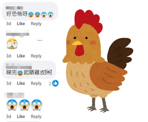 網民：睇完起晒雞皮。fb「真.屯門友」截圖