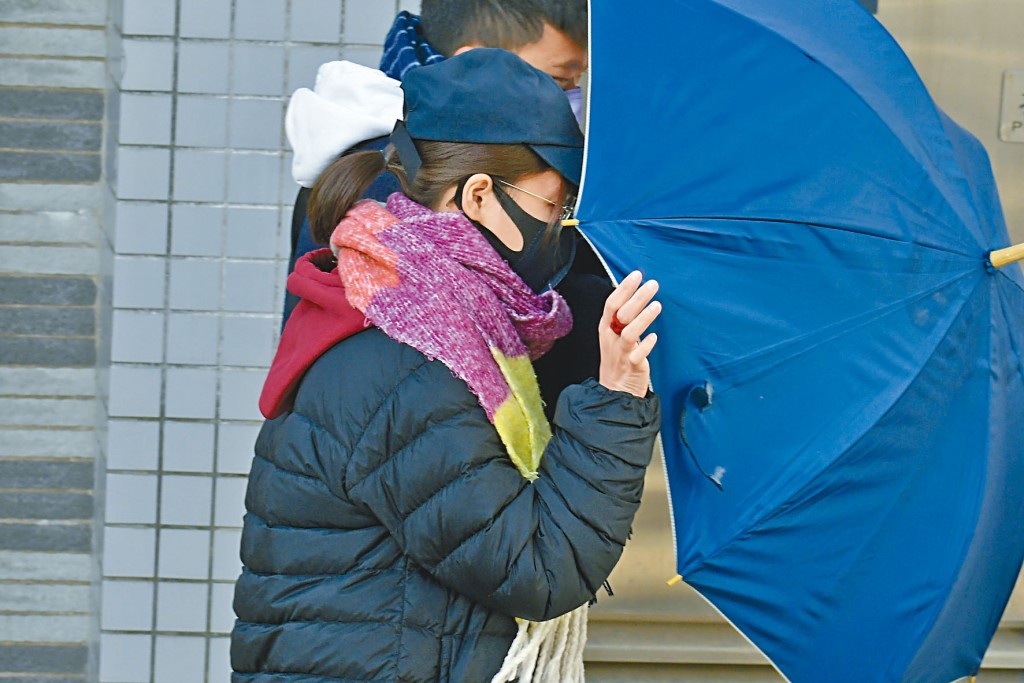 二十五歲被告劉露琪,被判囚九個月。