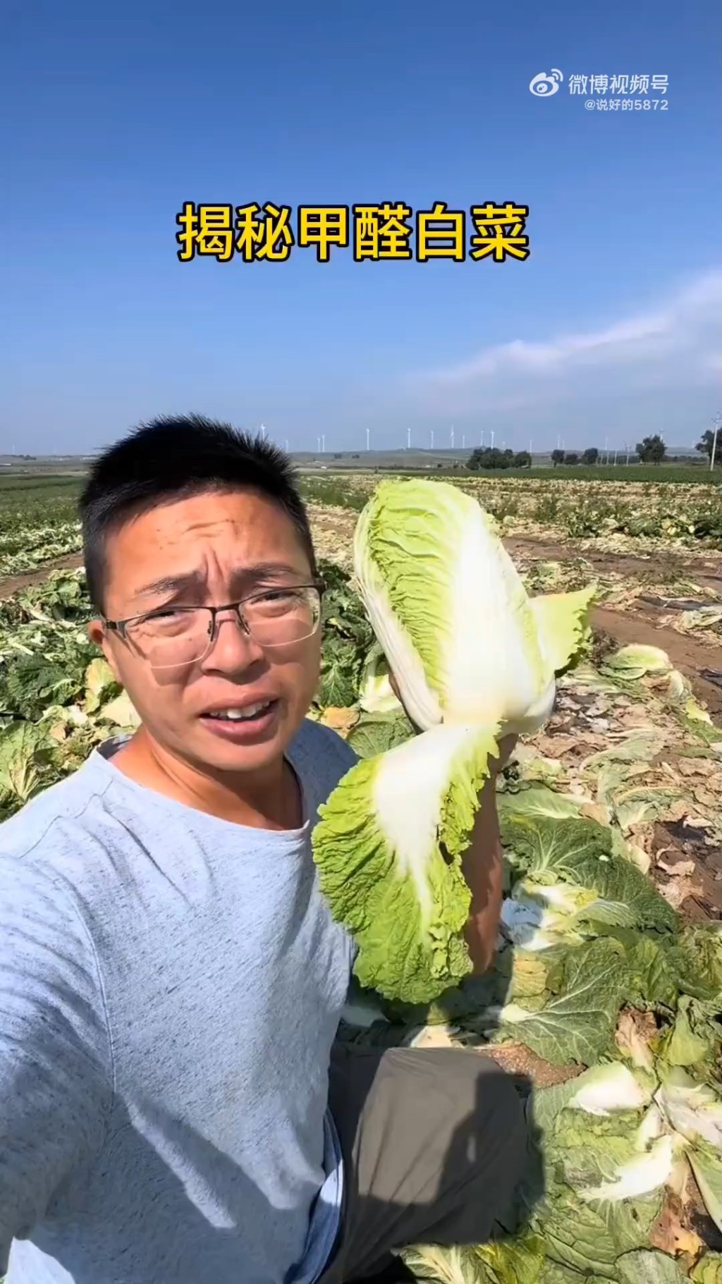 博主發現工人為延長保鮮期，將運送前將大白菜浸上致癌的甲醛。