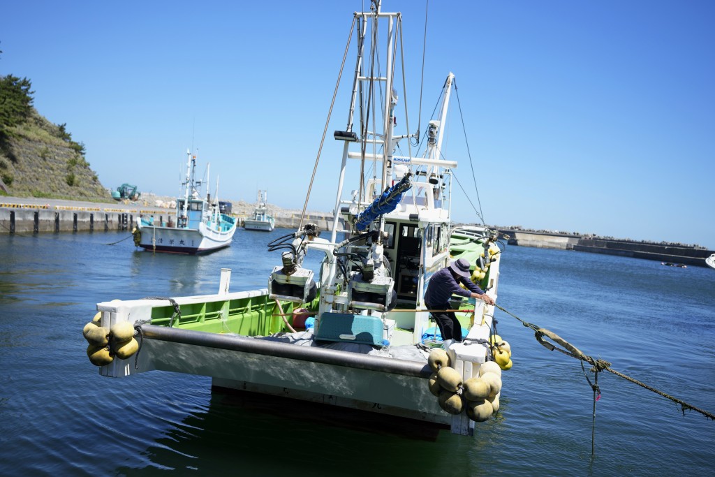 日本福岛渔市场上周五（25日）进行拍卖，除大型比目鱼售价下跌外，多数渔获价格和平时差不多。（美联社）