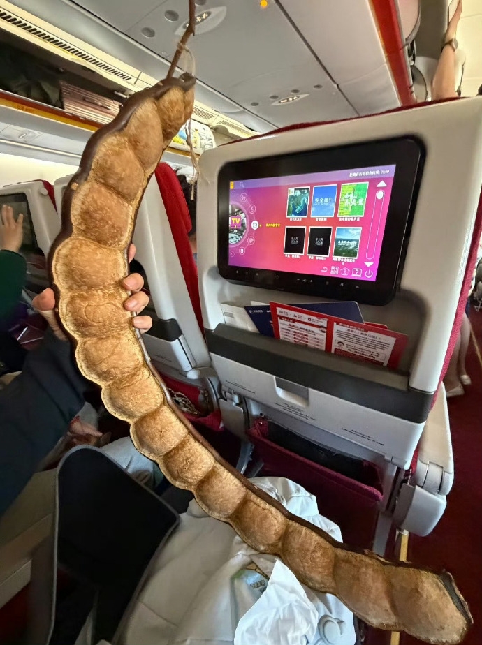 網友跟風分享攜巨大豆莢搭飛機的照片。