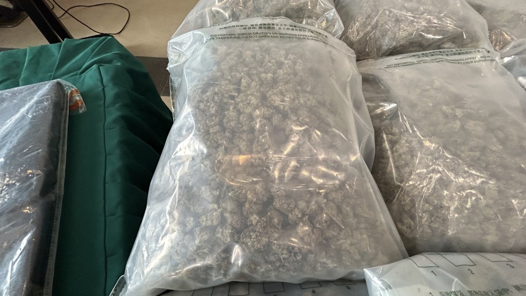 大麻花毒品。蔡楚輝攝