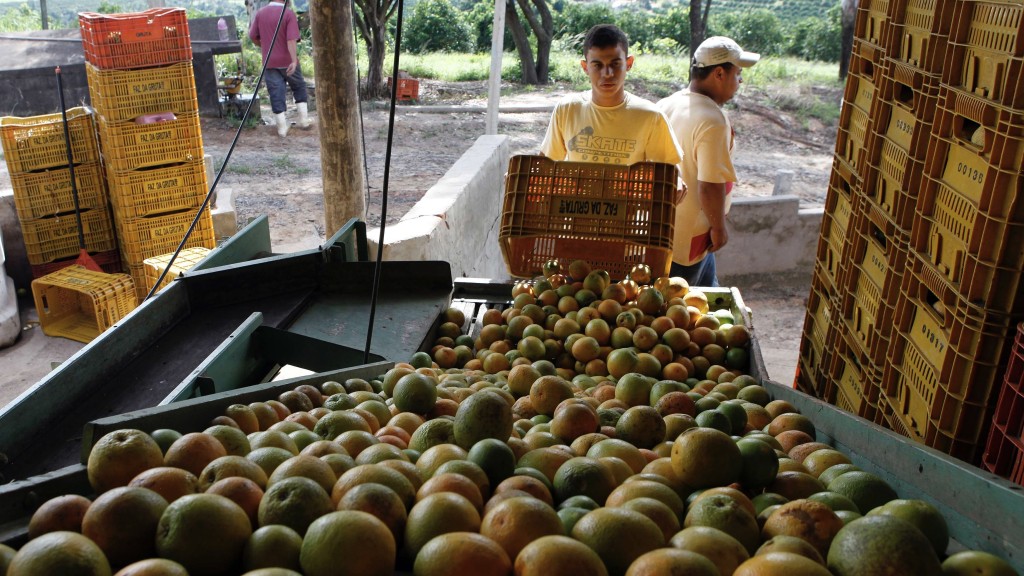工人将得清洗的柳橙送上生产线。 路透社资料图