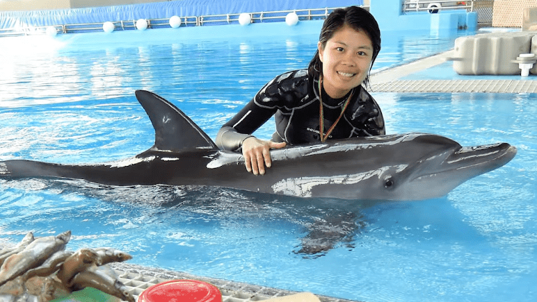 海洋公園印度太平洋樽鼻海豚Rita病逝 園方將解剖確定死因