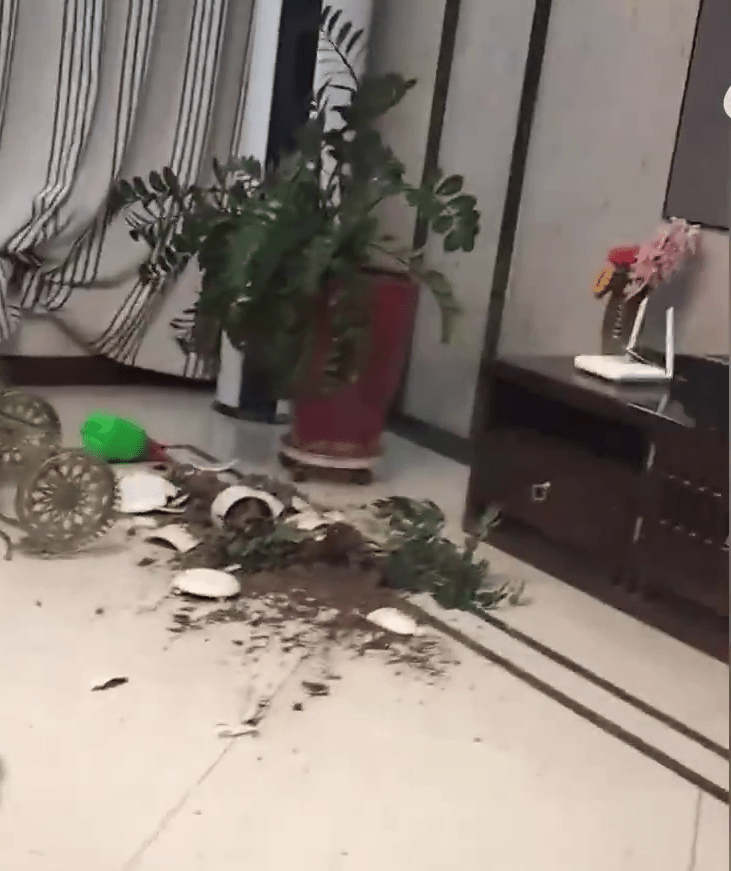 有當地居民家中的花盆也因地震掉在地上碎了。
