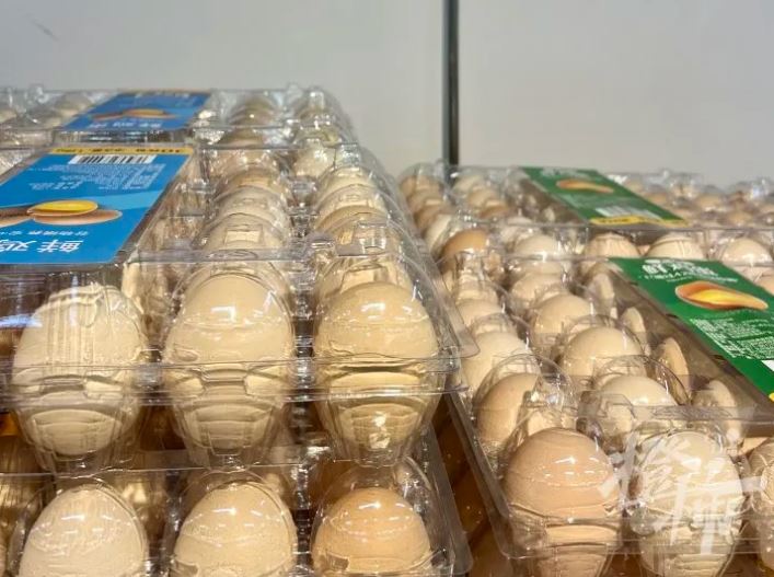 蕃茄價格超過雞蛋。都市快報