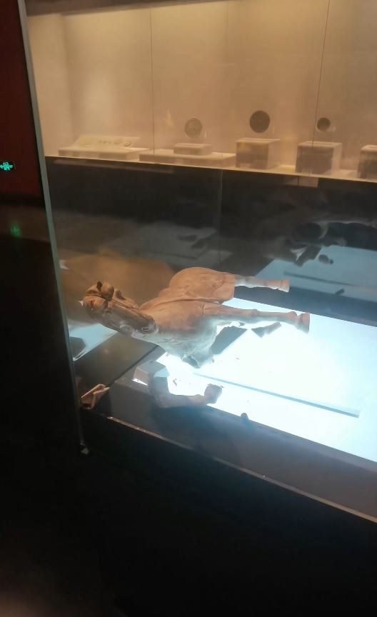 洛陽博物館的唐代陶馬在展示櫃內跌倒碎裂。抖音＠徐曉媛有泡菜