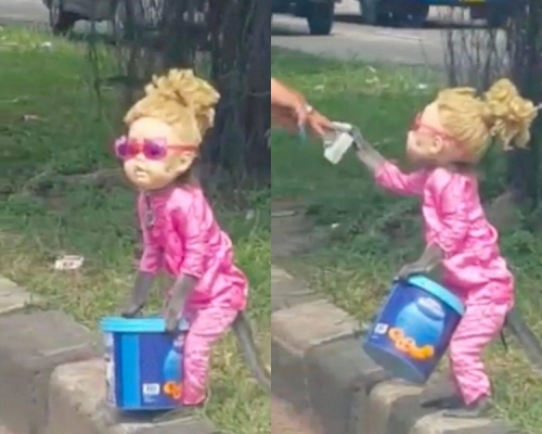 一隻猴子打扮成金髮粉衣女。 網上圖片