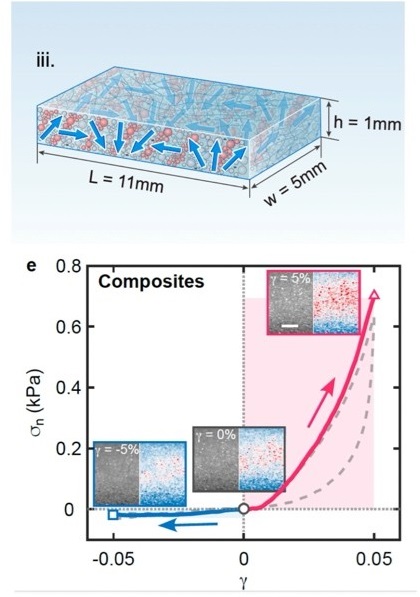 科大團隊成功研發一種具高度可編程性且具非對稱力學響應的新型柔性複合材料系統。科大提供