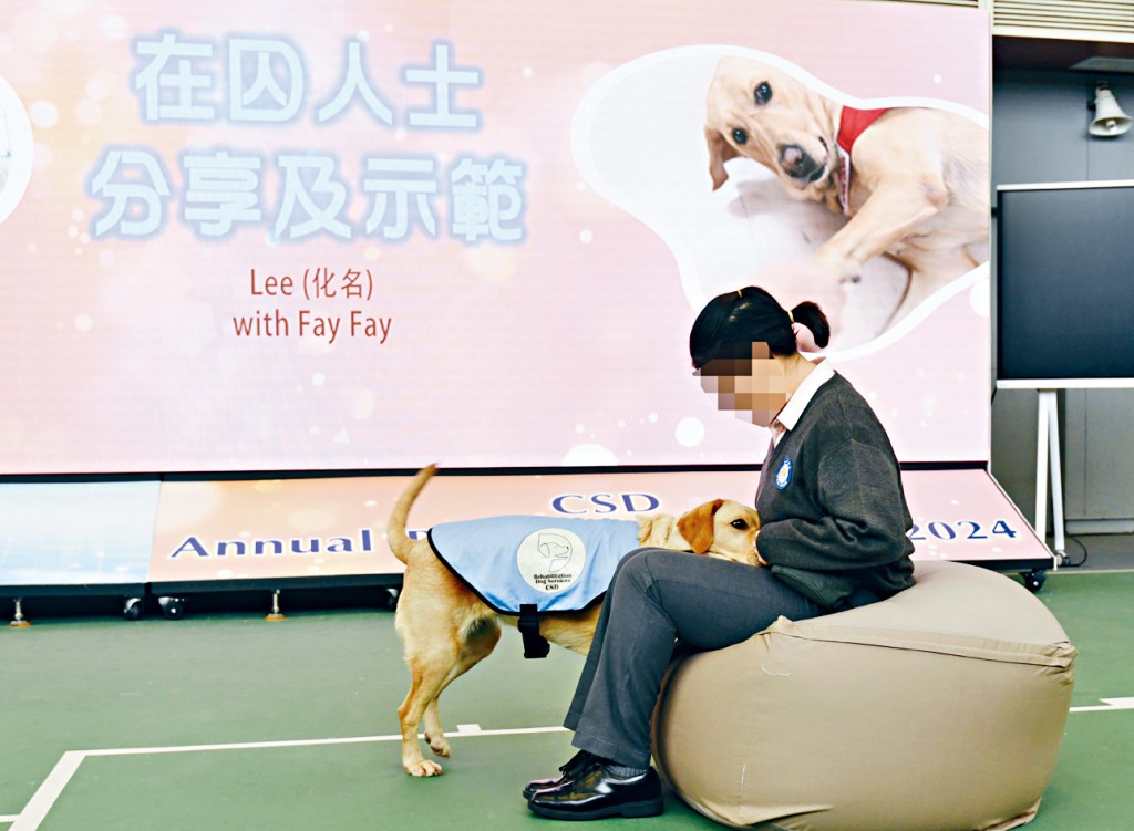 「更生輔助犬服務」由臨床心理學家為在囚人士提供動物輔助治療。