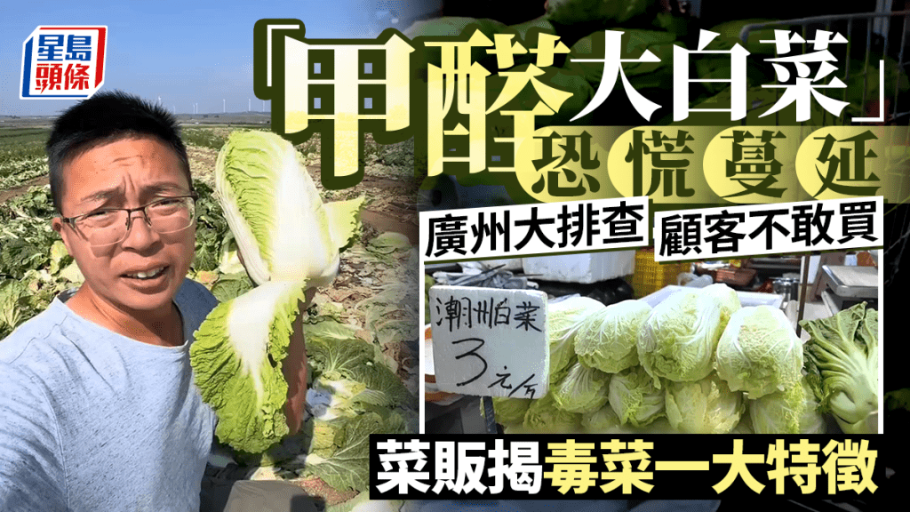 廣州大排查嚴防「甲醛大白菜」 買家憂心不敢買 紹菜批發價連日大跌兩成