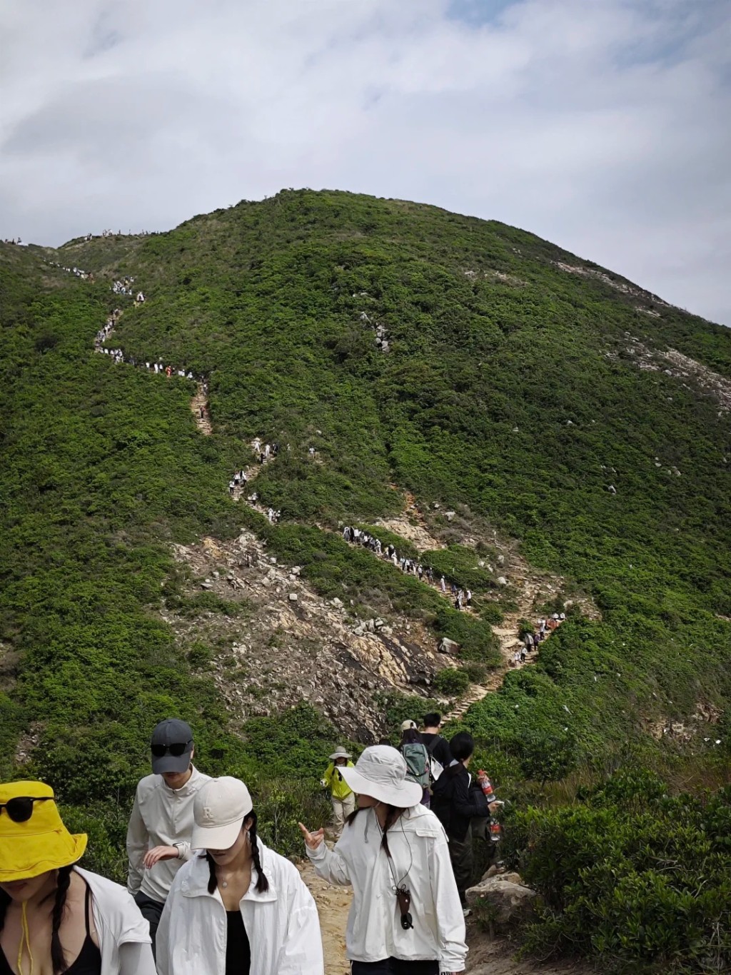 不少人在麥理浩徑徒步，上山人龍連綿不絕，蜿蜒隨著路徑上山。小紅書圖片