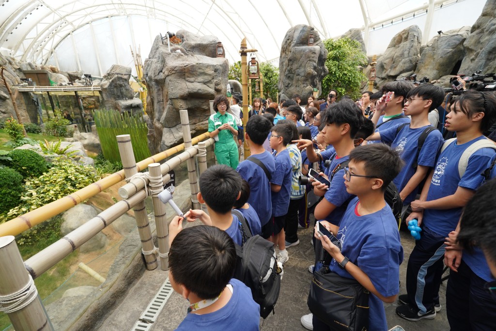 學生參觀海洋公園大熊貓之旅。葉偉豪攝 學生參觀海洋公園大熊貓之旅。葉偉豪攝