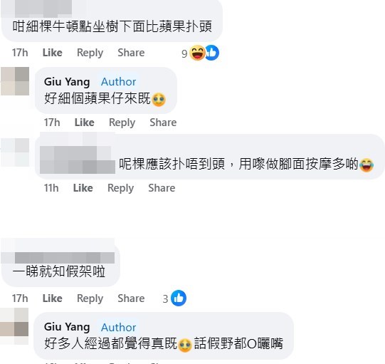 facebook截图（资料来源：Giu Yang＠facebook“元朗、天水围、屯门友”）