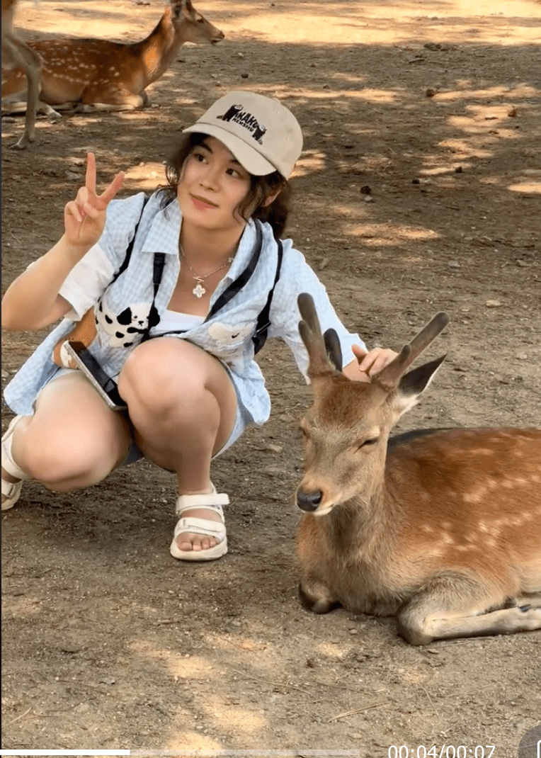 遊客在奈良公園可與鹿近距離接觸。TikTok@dearlife495奈良之鹿