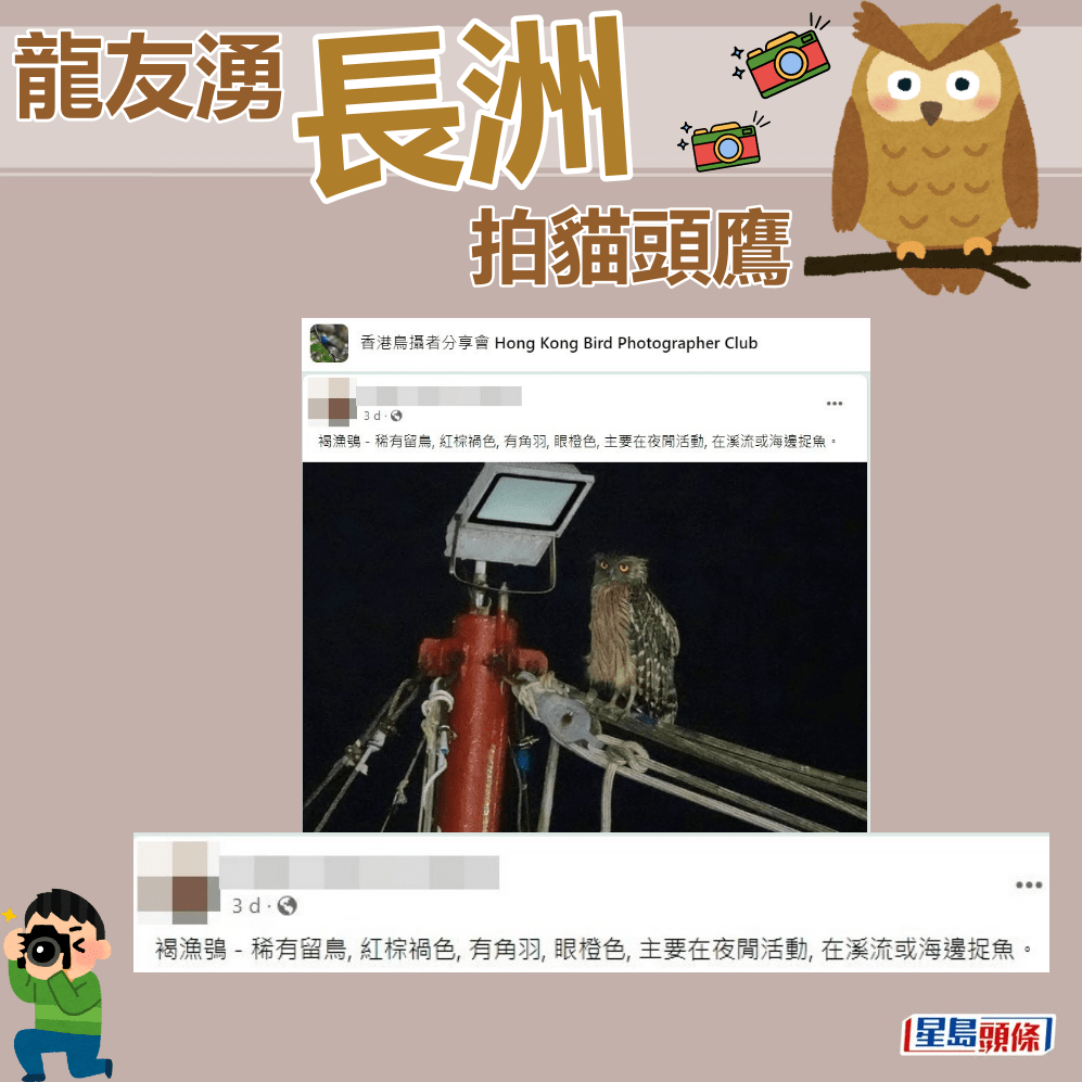 网民：这只猫头鹰叫「褐渔鴞」。fb「香港鸟摄者分享会」截图