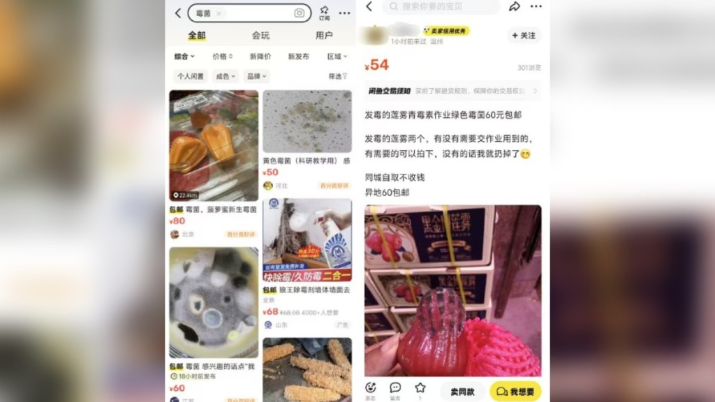 中科院博士洽購發霉蘋果後,閒魚即湧現更多涉及黴菌的掛售。