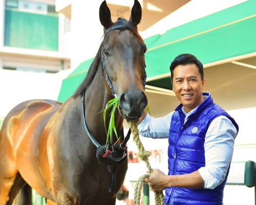甄子丹愛駒「宇宙車神」戰績甚佳。