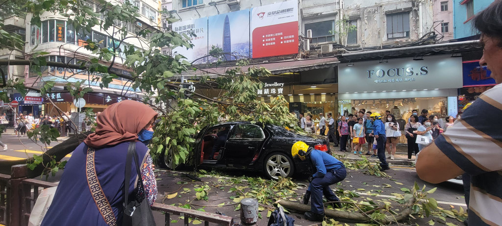 一輛賓利房車被大樹壓中。fb：Apple Wong