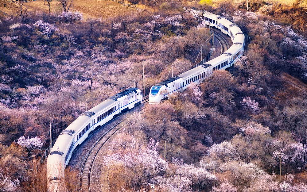 京張鐵路被譽為「開往春天的列車」。（視覺中國圖片）