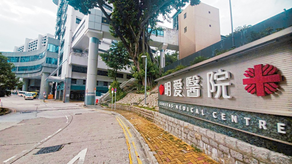 李嘉濱被指負責將炸彈放在明愛醫院的男廁，張家俊負責製作炸彈遙控器。