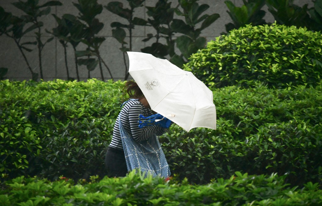 受高空扰动影响，周末至下周初华南地区有大骤雨及狂风雷暴。资料图片